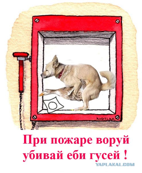 Фотожаба: Устал за неделю? Используй НЗ