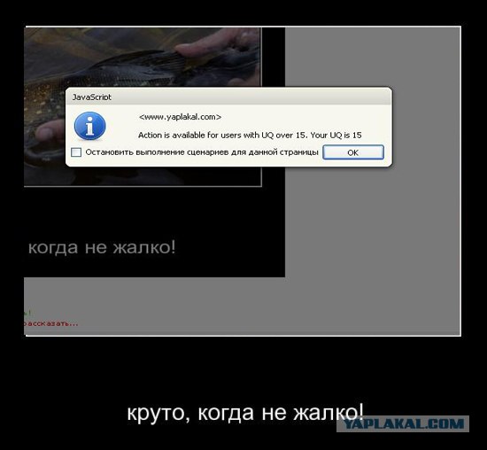 Круто, когда не жалко!