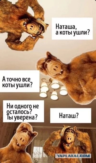 Бредзона 22.11.20