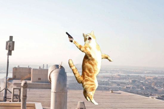 Кот поёт