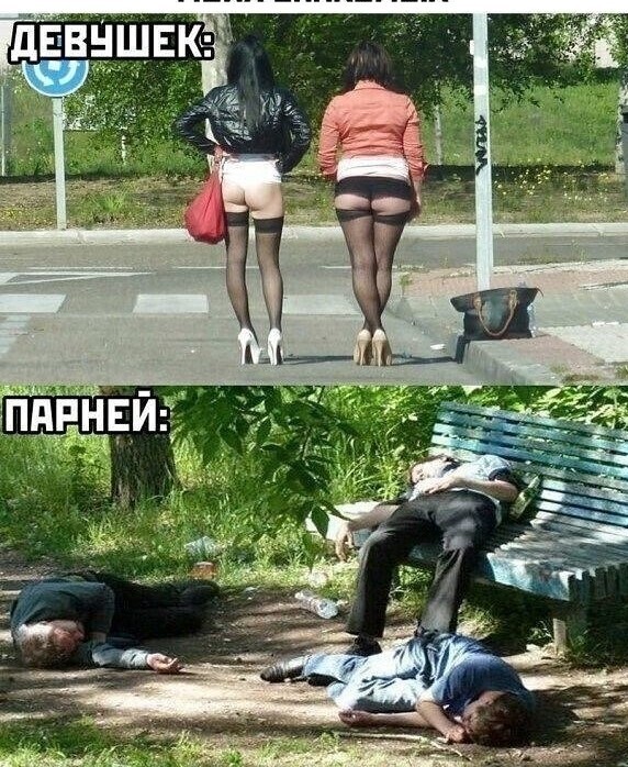 Фотки и картинки: юморные и красивые, забавные и милые 08.01.21