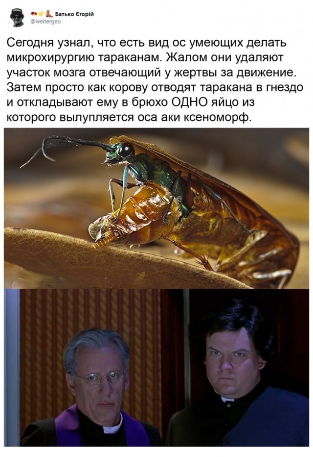 Бредзона 27.02.21