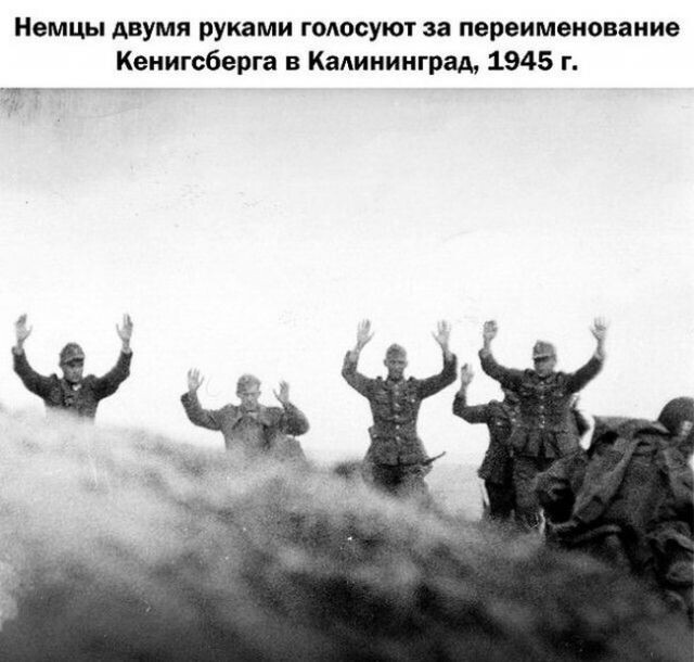 Фотки и картинки: юморные и красивые, забавные и милые 12.04.21