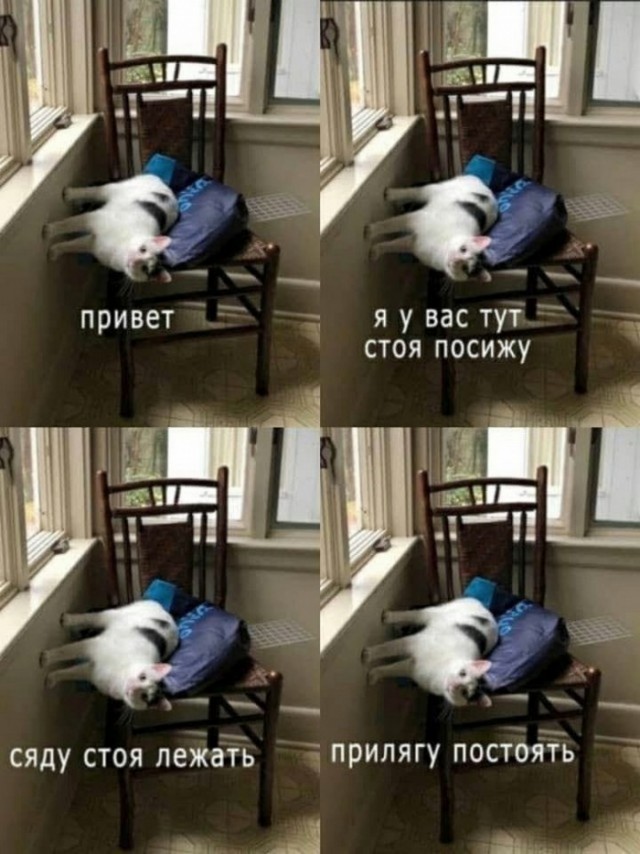 Картинки и мемы, всем прекрасных выходных