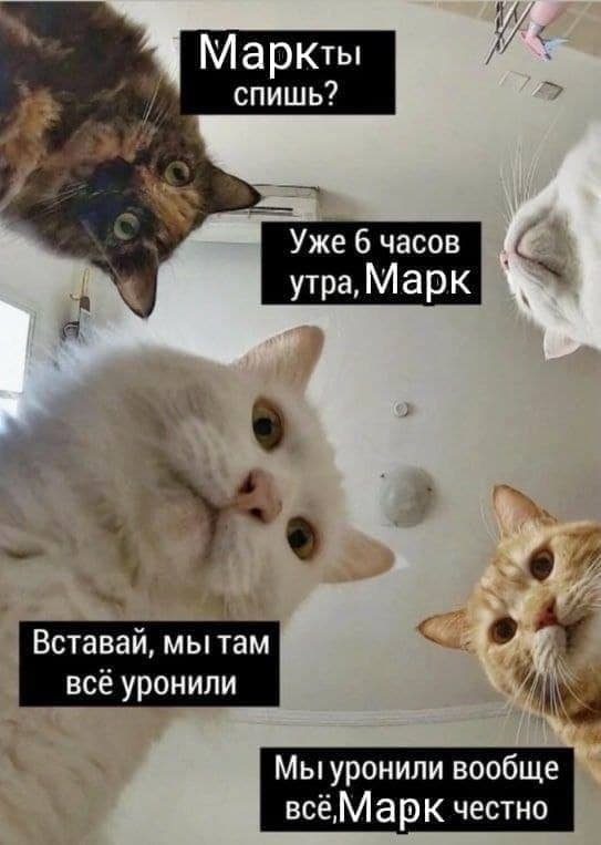 Картинки и мемы для настроения 05.10.2021