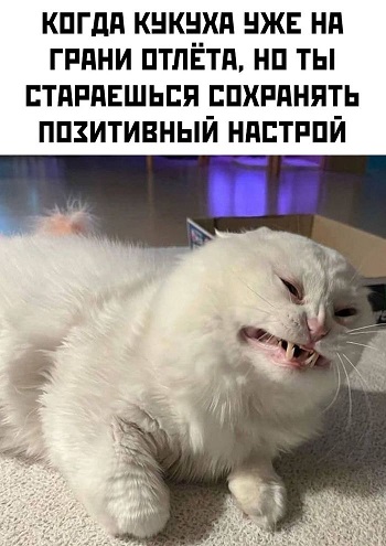 Пандемия. Коронавирус. Россия и мир. Последняя информация. Часть 27