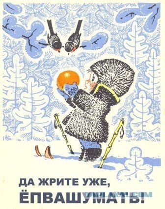 Чуток картинок 20.02.22