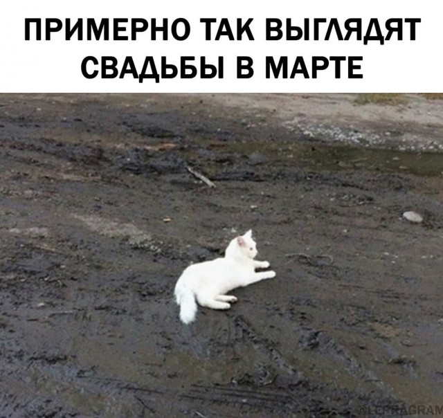 Дамы и Господа! У меня печальные новости