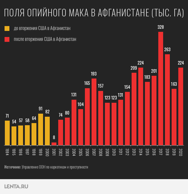 Талибы запретили выращивание мака на всей территории Афганистана