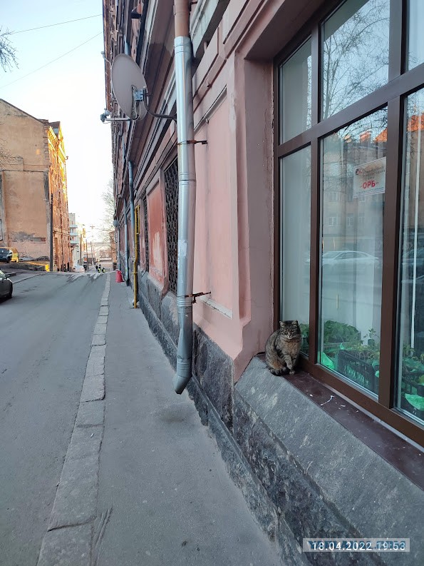 Из Казахстана в Карелию на машине