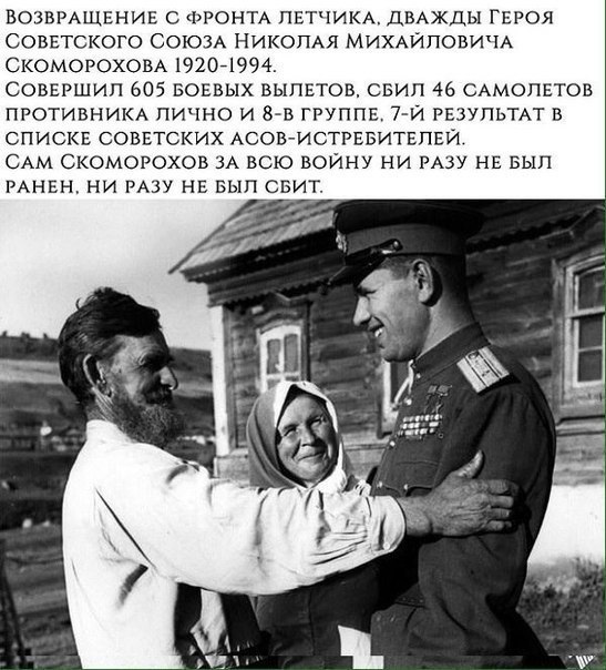 Сталинский сокол