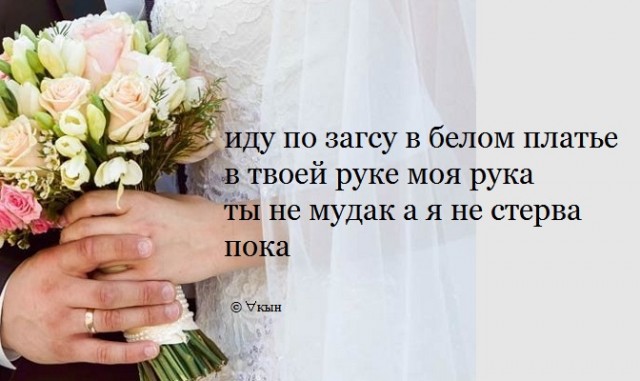 Весёлый полтишок 14.06.22