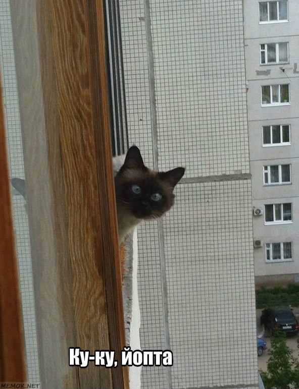 Привет, что делаешь?
