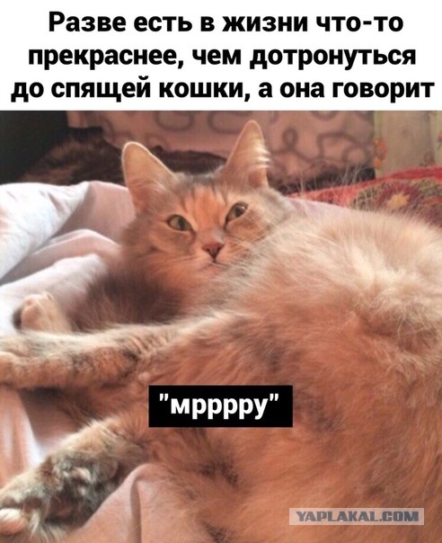 Немного картинок для настроения - 135