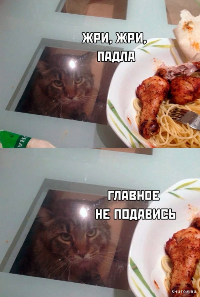 Нуштош 01.03.23