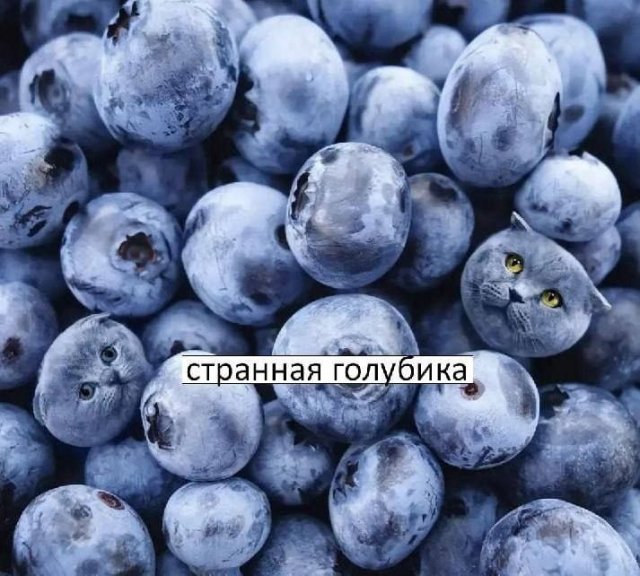 Немного картинок для настроения - 177