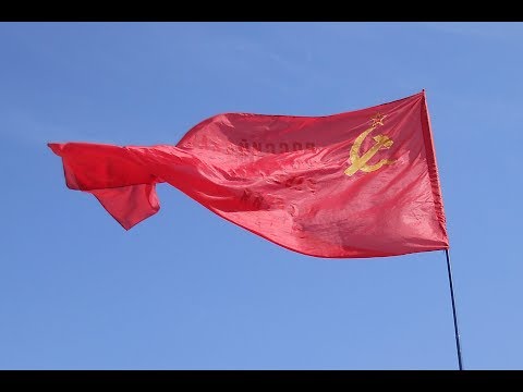 Суд разрешил в Берлине на время шествия "Бессмертного полка" российские и украинские флаги и символику