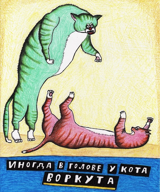 В Турции кота унесли от драки