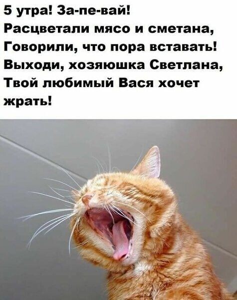 Скупка краденого из сети 15-06-2023