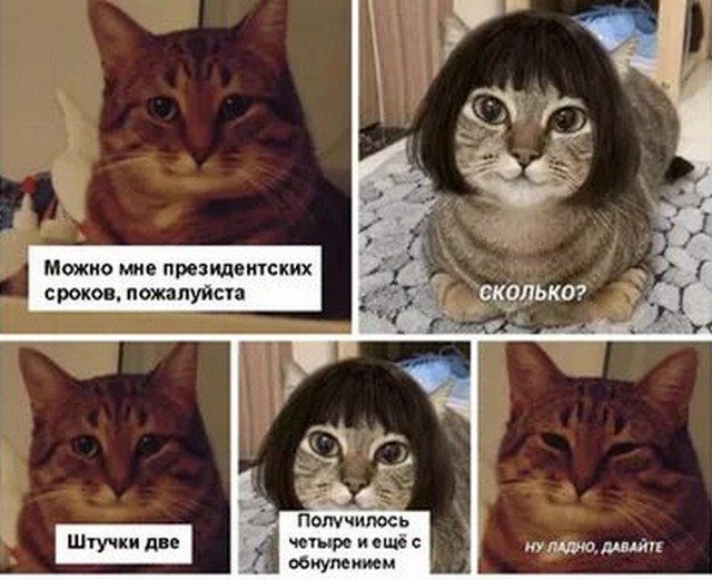10 популярных мемов, которые подарило нам кино