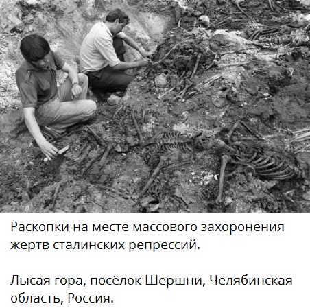Иосиф Виссарионович про демографию