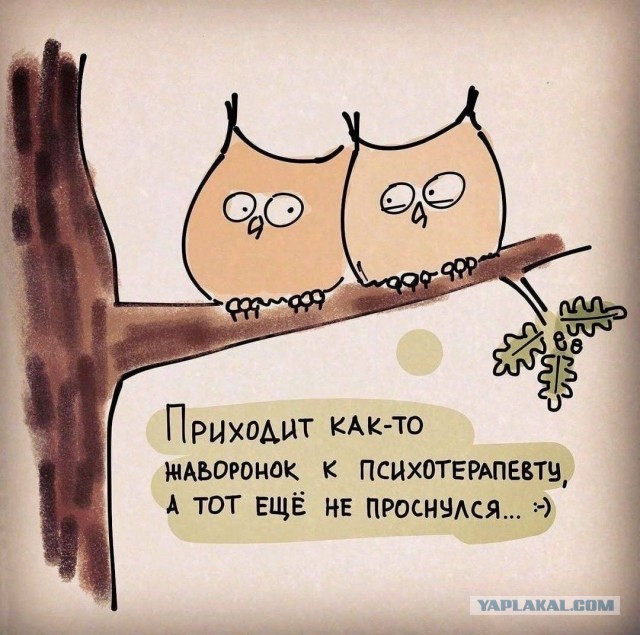Так себе картинки 13.02.24