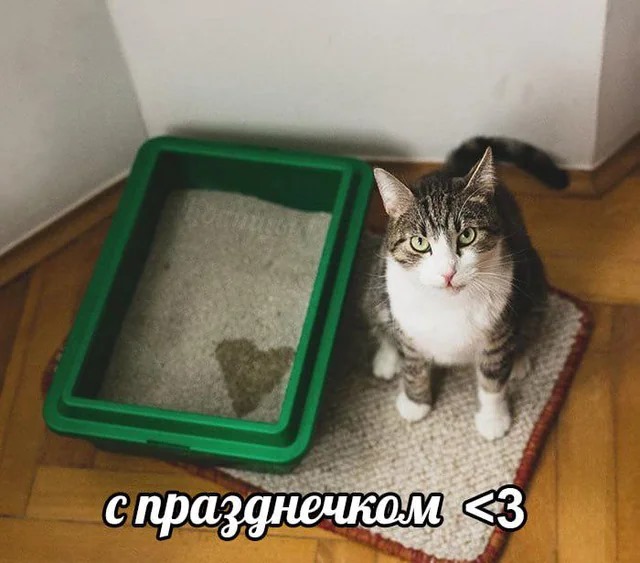 Тлидцать тли от 14 февлаля