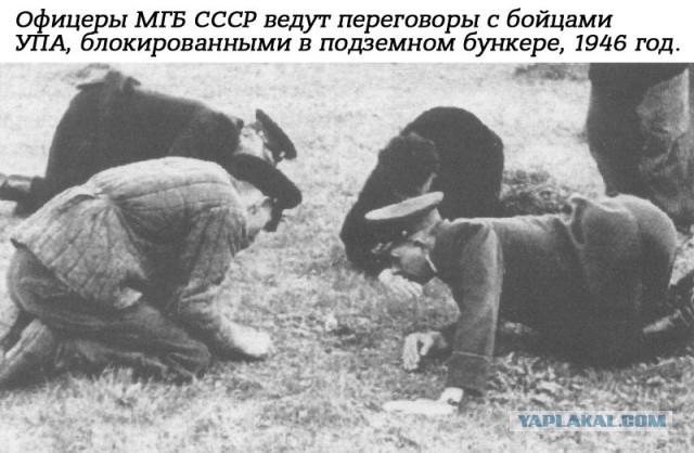 Небольшая подборка истрических фото (23.04)
