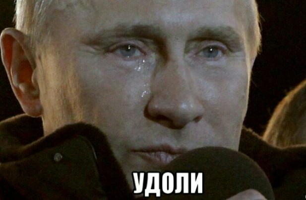 В-Вежливость