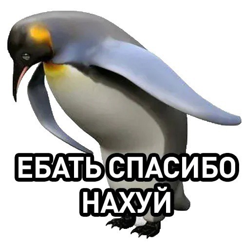 Высших командиров ВСУ разорвали «Искандером»