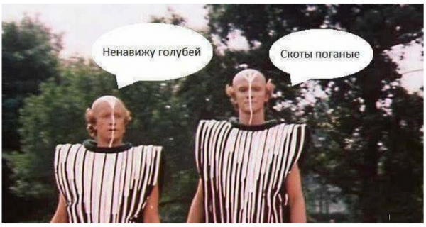 Веселые картинки к пятнице (09.08)