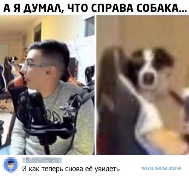 Так себе картинки 01.10.24