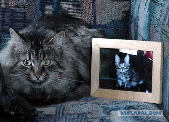 А ты живи с этим