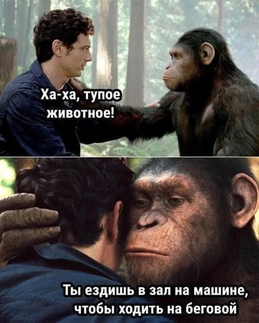 Воскресные картинки