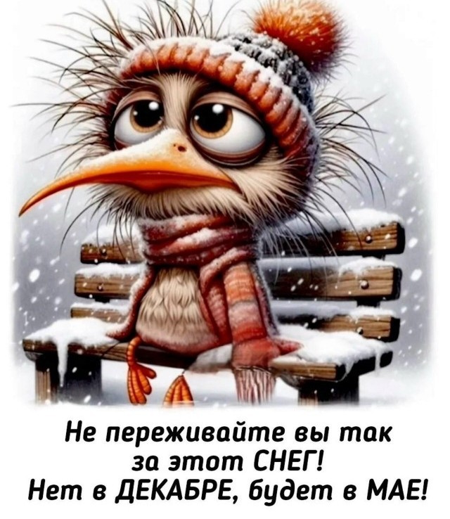Новый год в Подмосковье будет без снега – синоптики