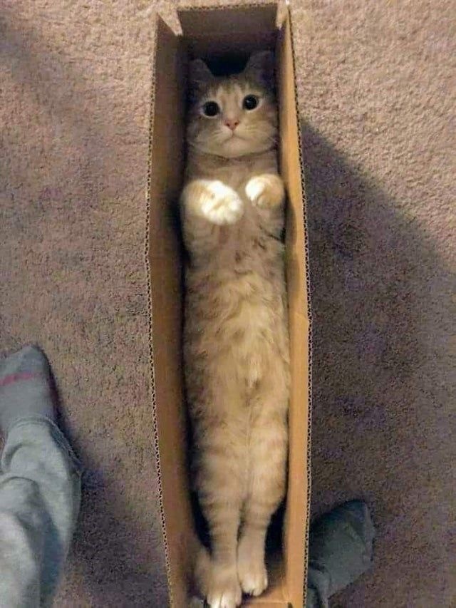 Котокоробковое