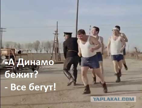 Восемь членов украинской олимпийской делегации не вернулись из Италии, сбежав за рубеж.