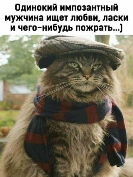 Воскресные картинки