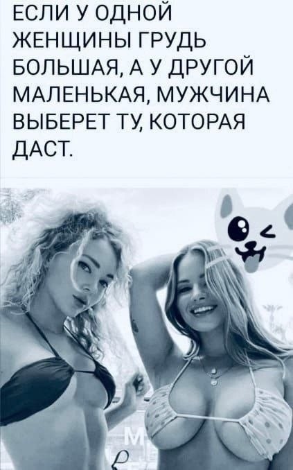 Забавные и не очень скромные картинки - 30