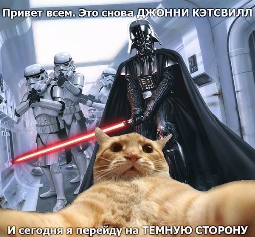 Картиночки, баянчики в начале мая