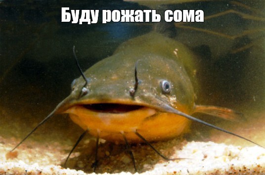 Лучше муж⁠