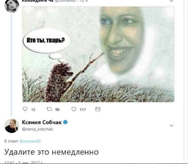 Определяем возраст лошади, по зубам