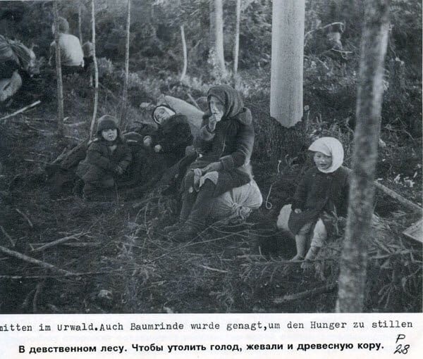 Июнь 1942-го. Агония 2 ударной армии Волховского фронта