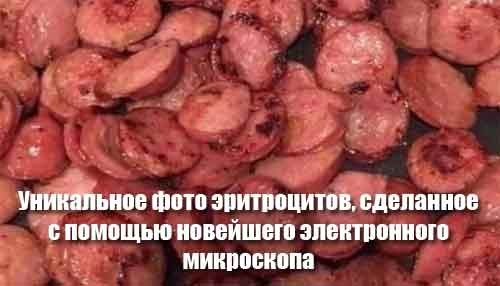 Веселые картинки в пятницу (16.10)
