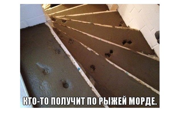 Кого высматриваем?