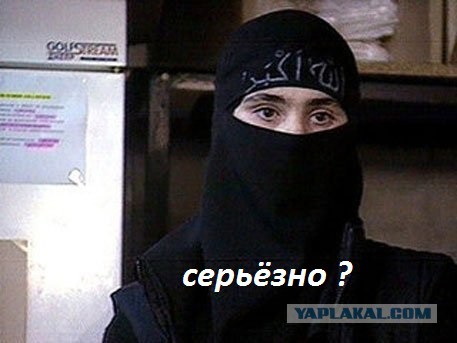 Обращение спецназовца к ПО в преддверии РМ