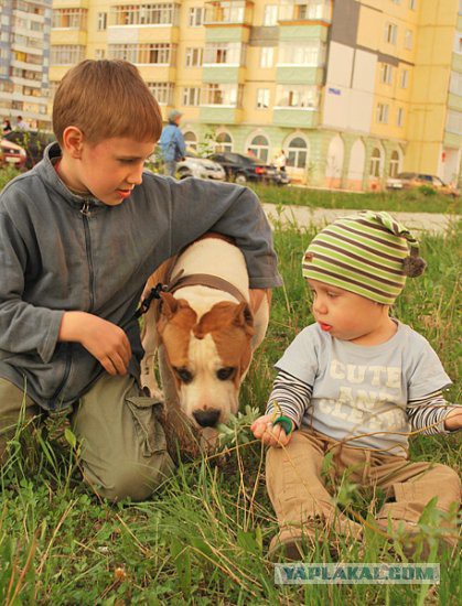 Собакочетверг на 02.01.2014