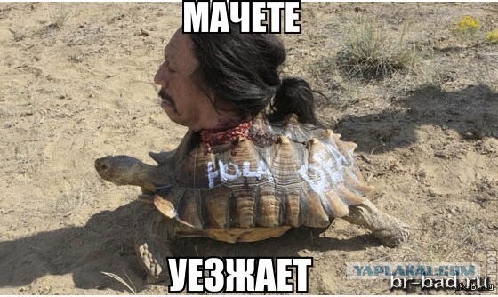 Преображение Уолтера Уайта