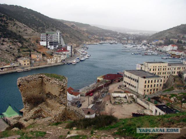 Андрюша Макаревич, в очередной раз