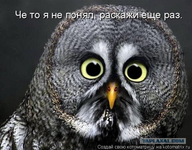 Профессия пешеход
